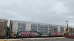 BNSF 29913 (Body) BNSF 301813 (Flat)